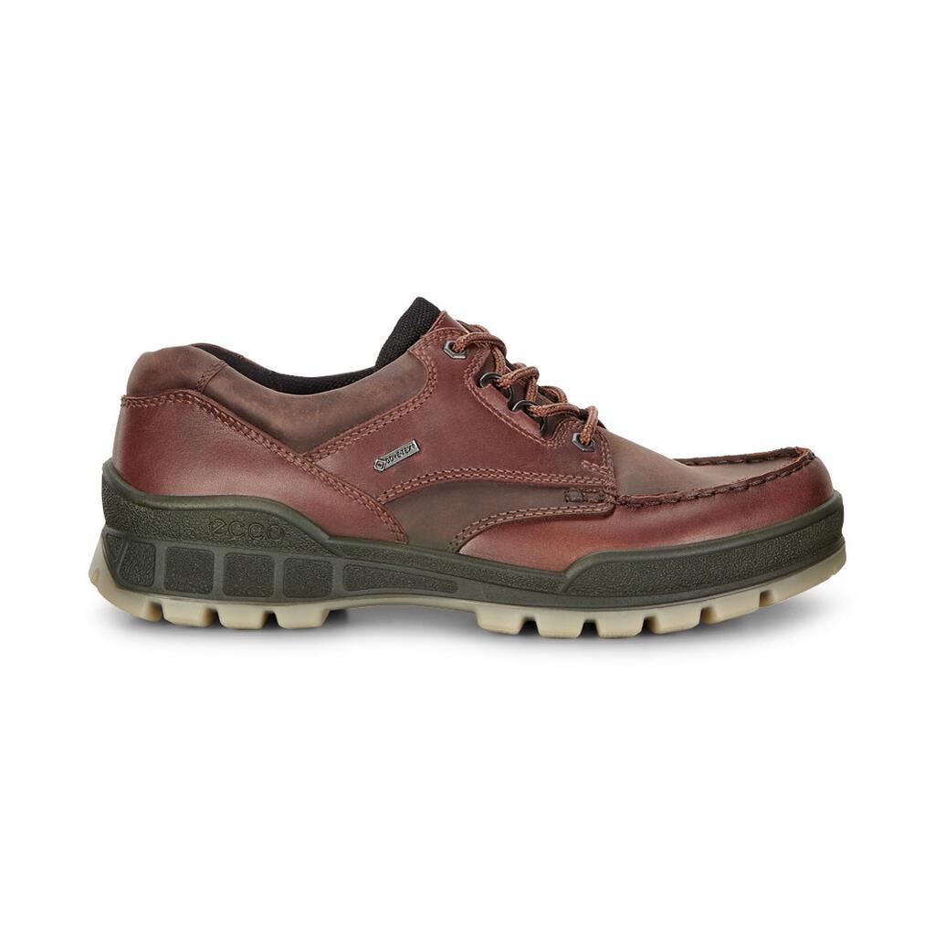 Chaussure De Randonnée Ecco Track 25 Homme Marron 2406-WTAMZ